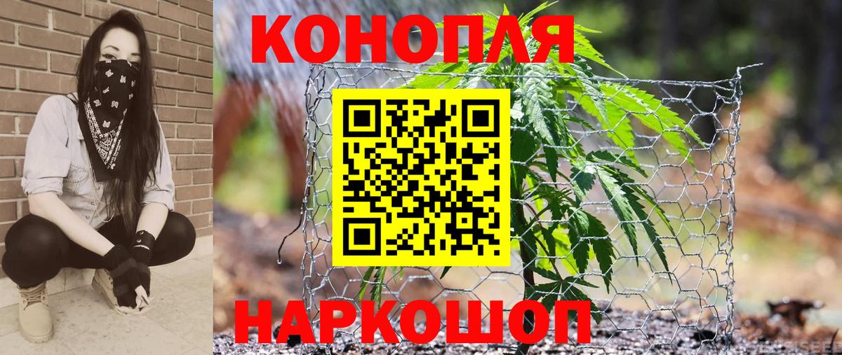 Бошки Шишки гибрид  Бошки Шишки марихуана  Саратов  Бошки марихуана White Widow  Вход с VPN 